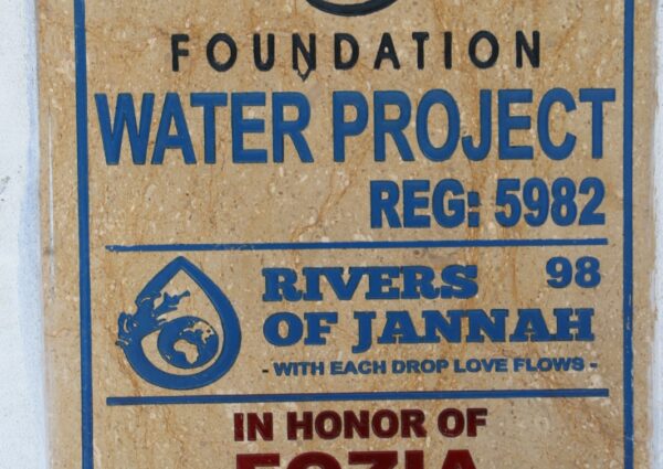 Rivers of Jannah # 98 (Reg No.: 5982)