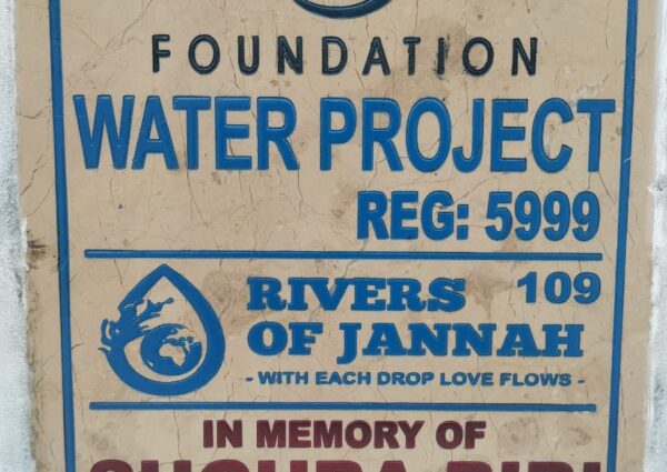 Rivers of Jannah # 109 (Reg No.: 5999)
