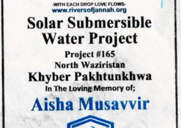 Rivers of Jannah Aghosh Al-Khidmat Pakistan (Solar Submersible Water Project Project # 165 Completed)